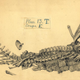 Illustration for article titled The 19th-Century Artist Who Sketched Fossils In Their Death Poses